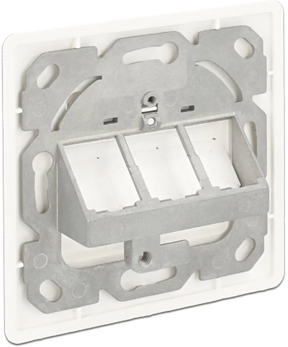 Delock Wandcontactdoos 3x Keystone Modules - Wit