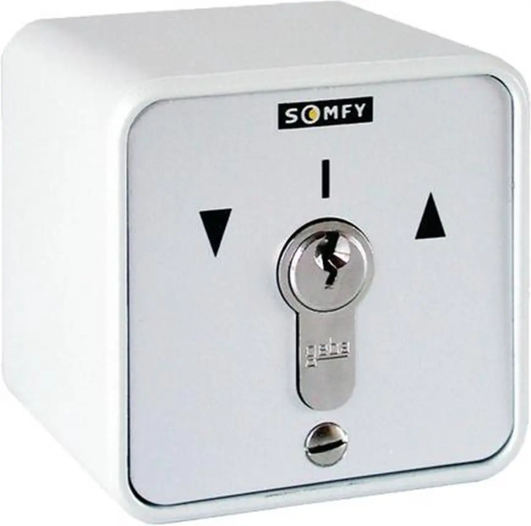 Somfy Opbouw Sleutelschakelaar 150W
