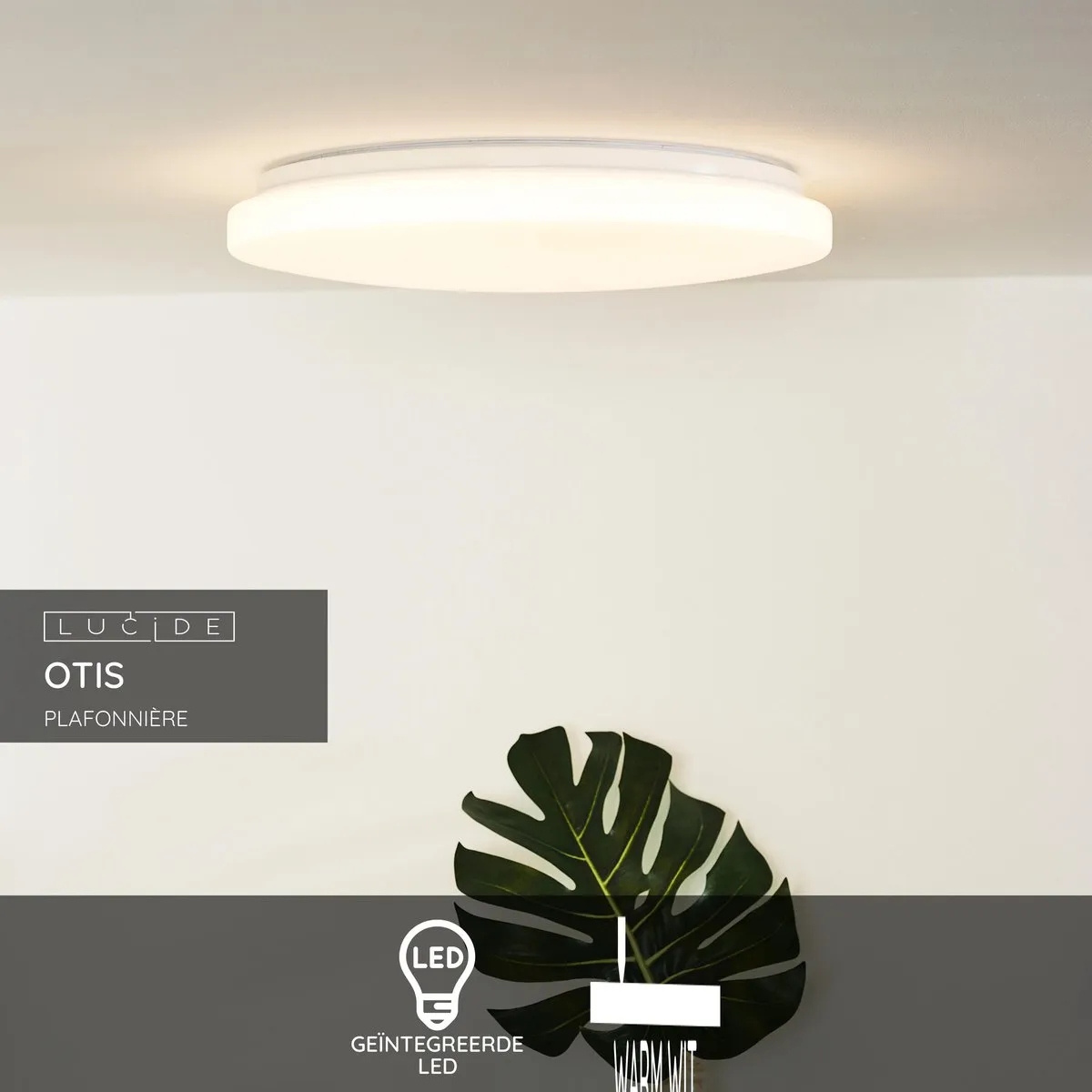 Lucide OTIS Plafondlamp Ø39cm - LED 32W 3000K - Opaal