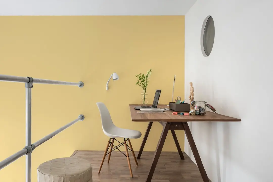 Flexa Strak Op De Muur Binnen Mat Mengverf Vol Sorbet 5L