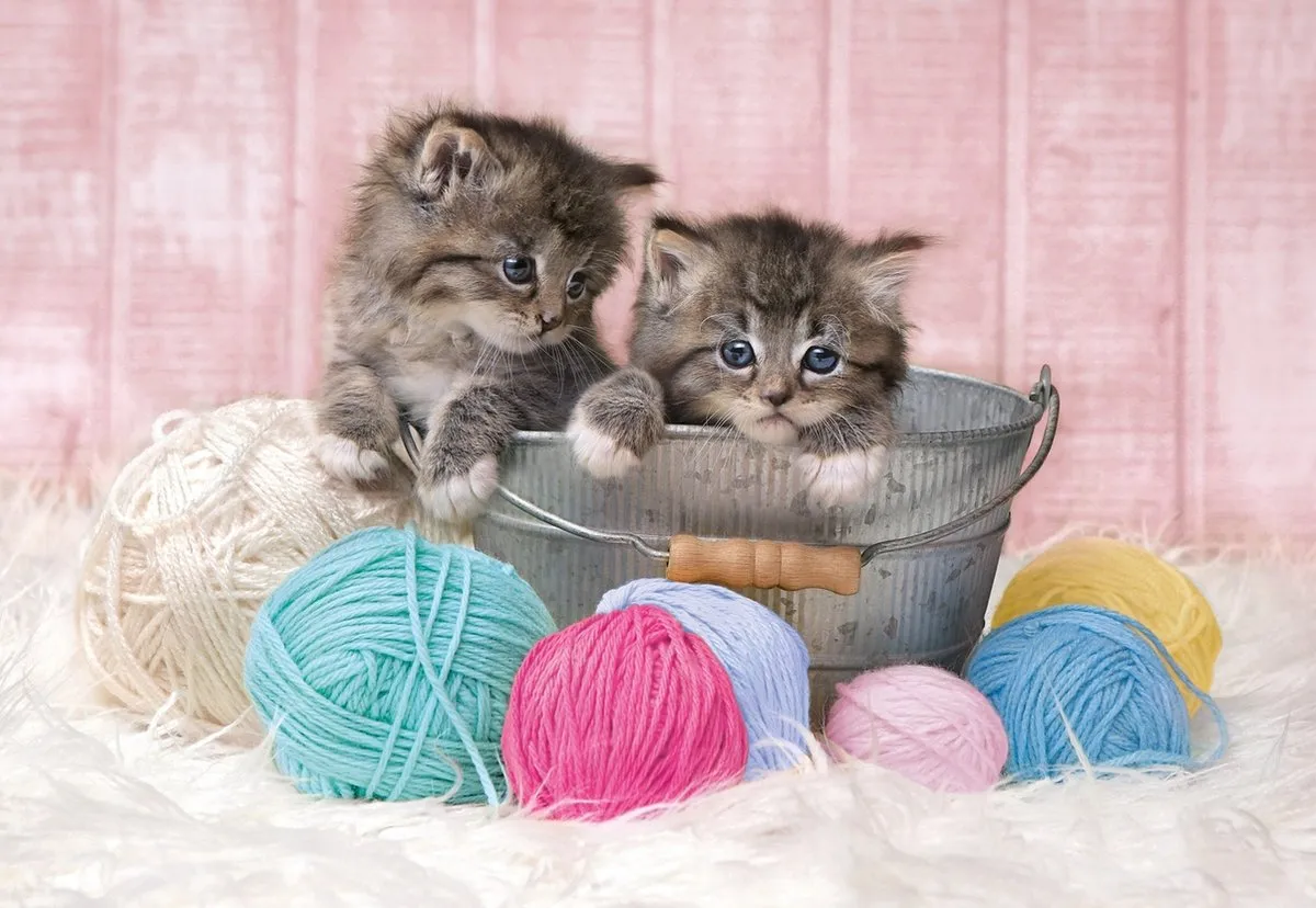 Clementoni Legpuzzel Sweet Kittens 104 Stukjes - Multicolor