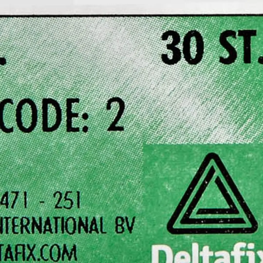Deltafix Delta Parkers CK 2.2x16mm RVS - 25 Stuks
