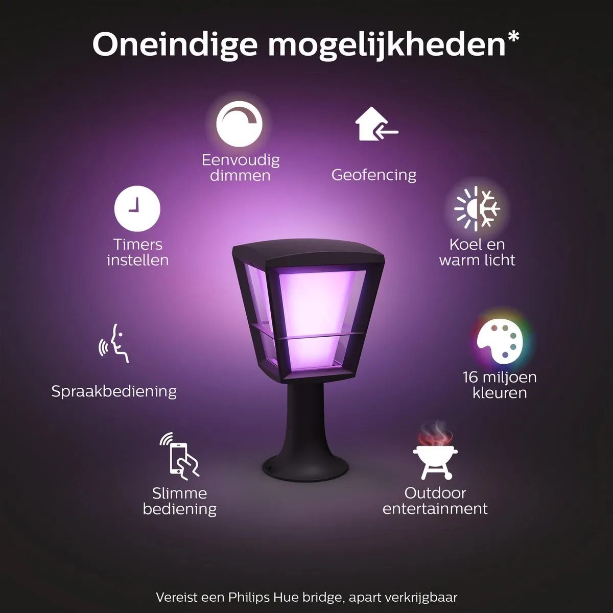 Philips Hue Econic Sokkellamp - 15W - Zwart