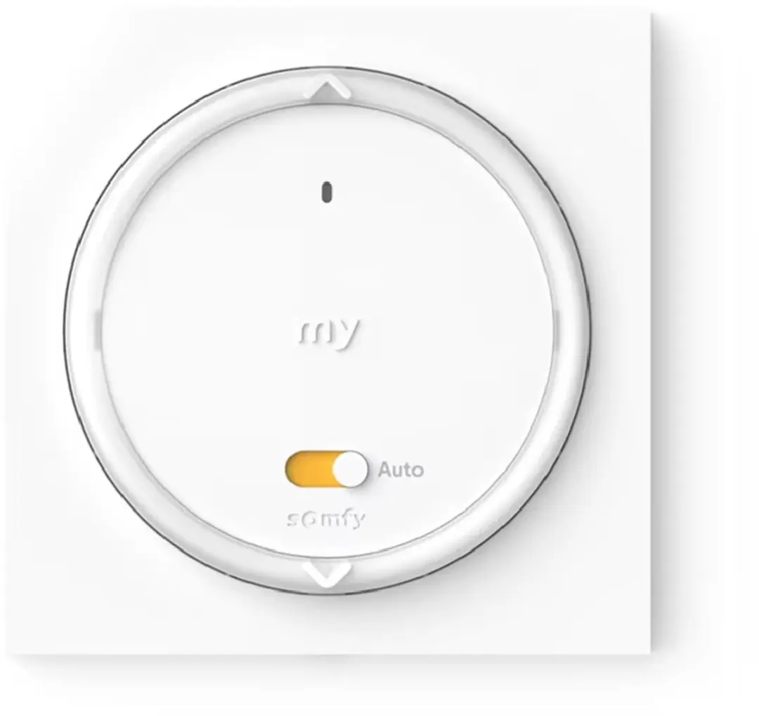 Somfy Amy 1 A/M Io Rolluikschakelaar - Wit