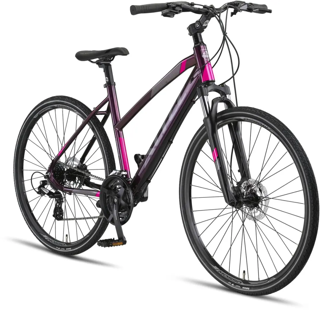 Altec Legarda Damesfiets 28 Inch 49cm - 24V Hydraulische Schijfrem - Paars