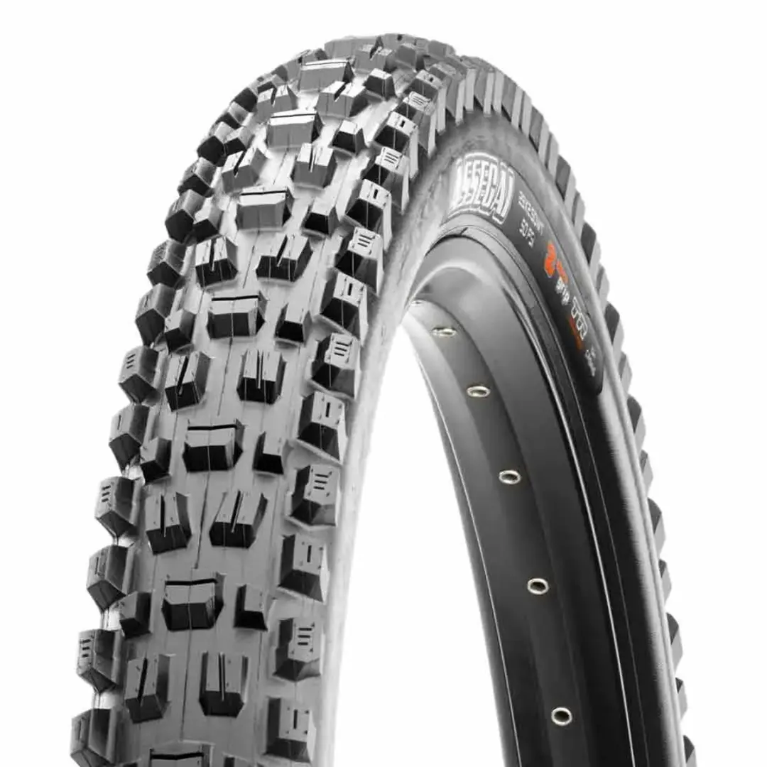 Maxxis Assegai MaxxTerra 29 Inch Tubeless Ready MTB Band
