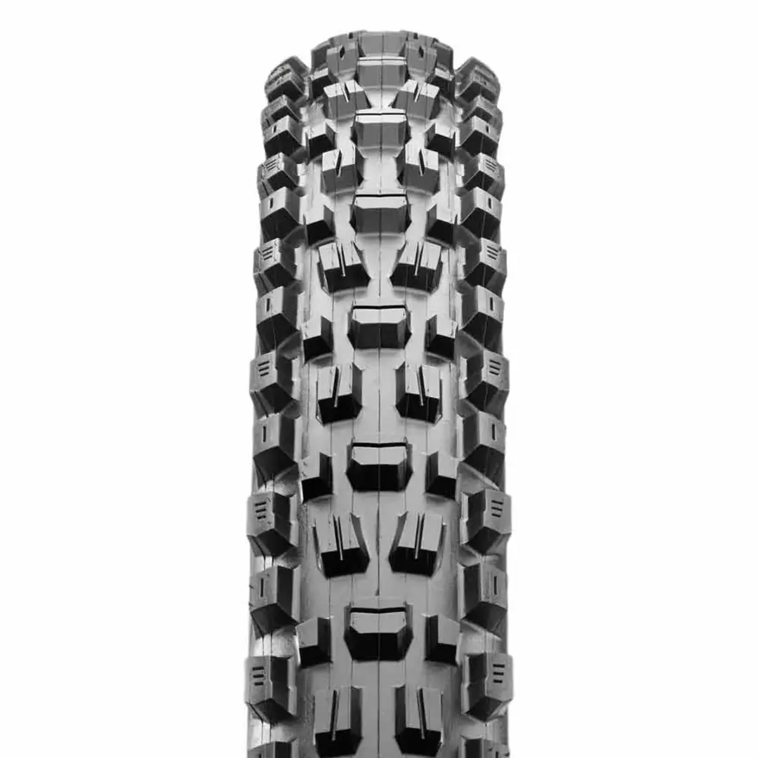 Maxxis Assegai MaxxTerra 29 Inch Tubeless Ready MTB Band - 63-622