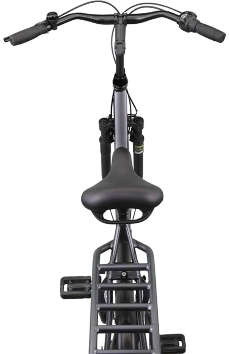 Altec Damesfiets Delta 28" - 3 versnellingen - Matgrijs