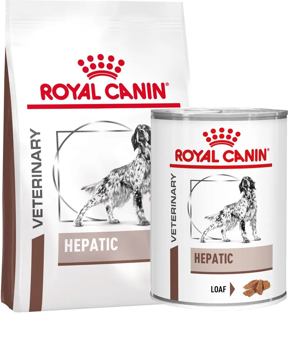 Royal Canin Hepatic Hond 7kg + 20 Stuks