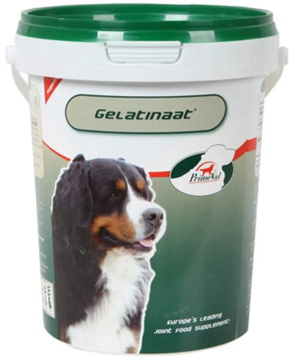 PrimeVal Artrose Gelatinaat Puppy 350g