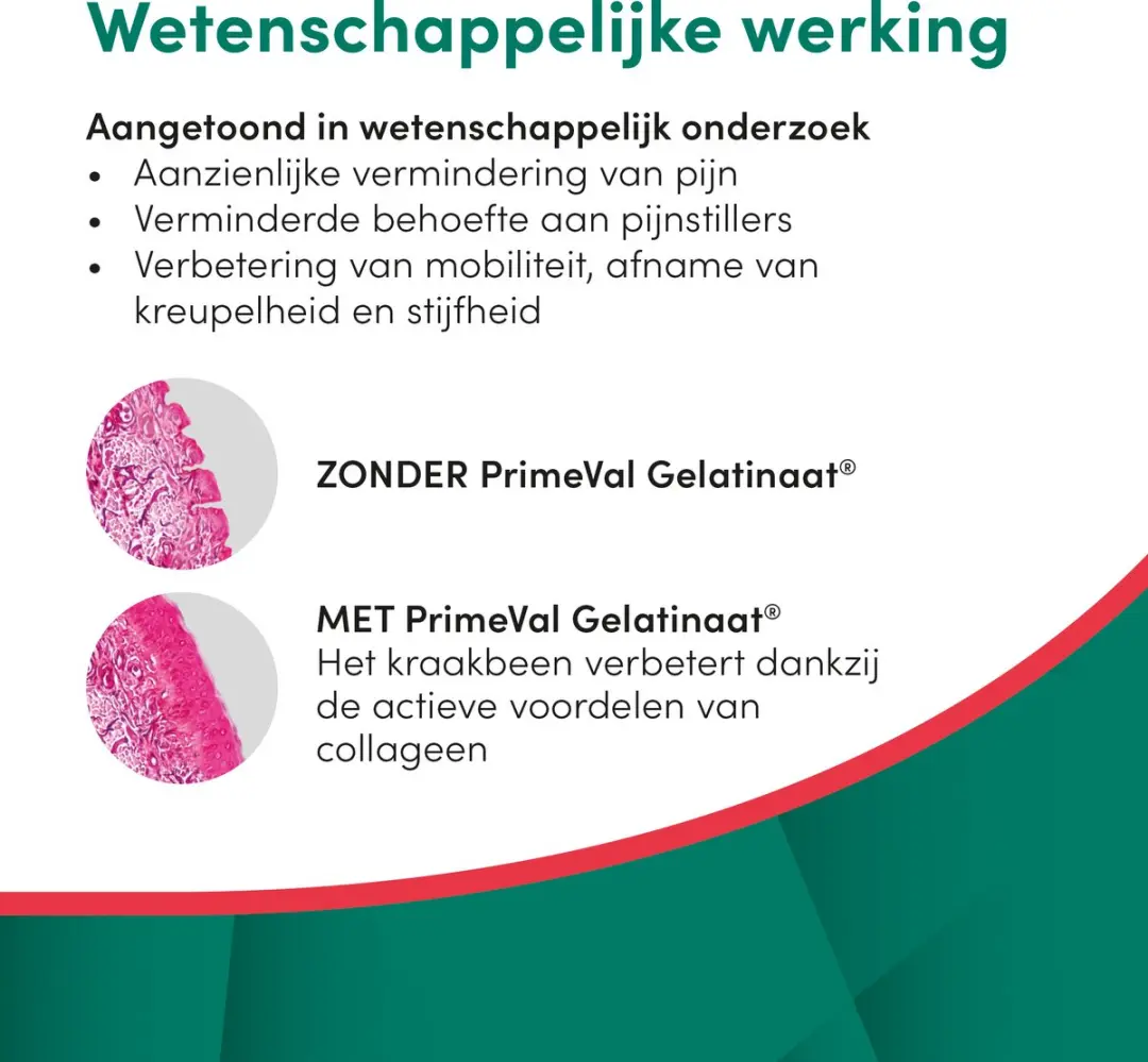 PrimeVal Artrose Gelatinaat Puppy 350g
