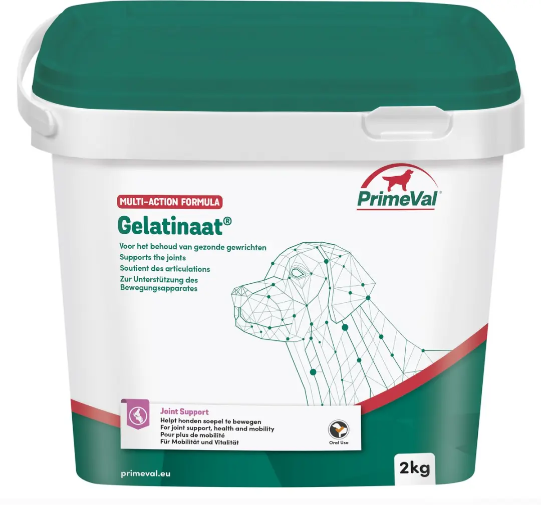 Primeval Artrose Gelatinaat Hond