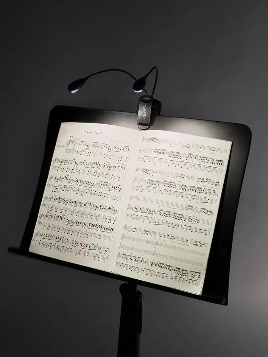 Boston LED Boeklamp - 3x AAA - Zwart - afbeelding 6 van 6