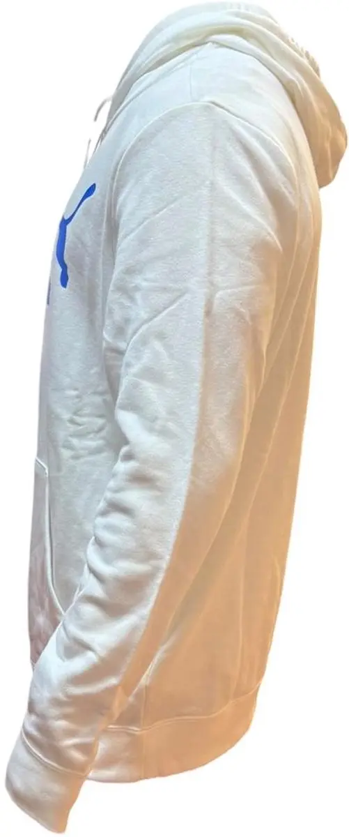 PUMA Ess No 1 Sportvest Mannen L - Wit/Blauw