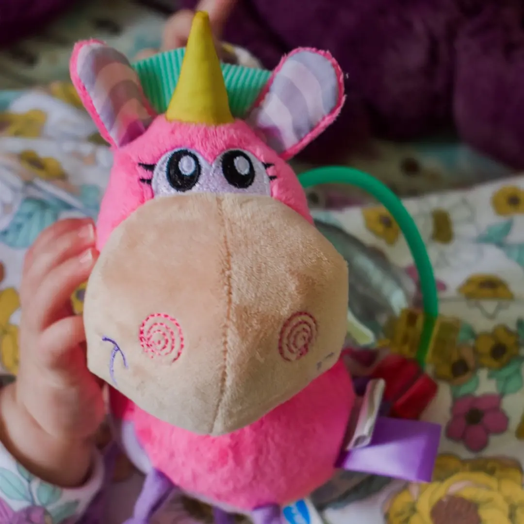 Playgro Clip Clop Rammelaar Unicorn Roze