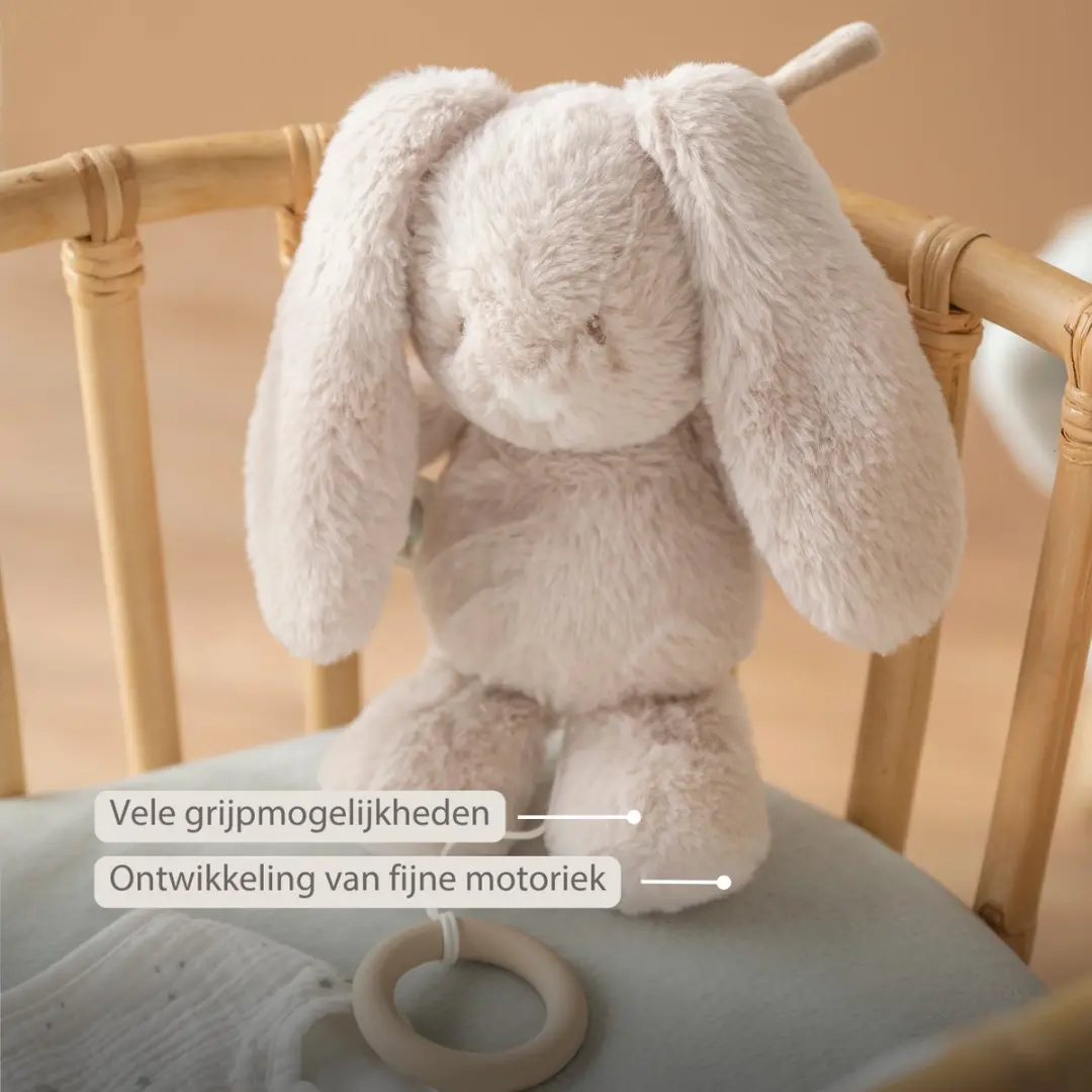 Nattou LouLou Muziekknuffel Konijn 30cm - Zand