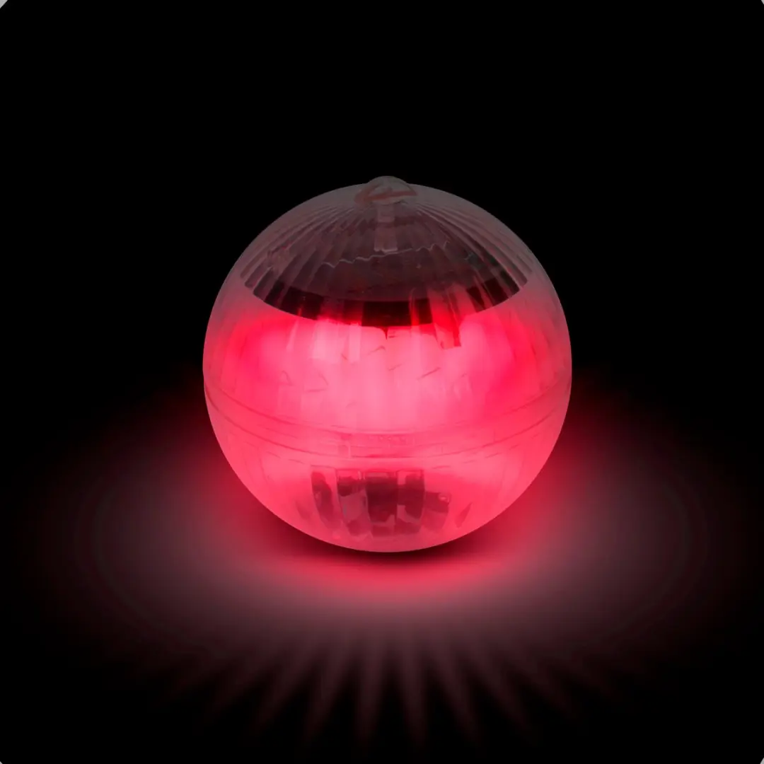 Delight Solar Disco Lamp IP65 - Zwembadverlichting Multicolor