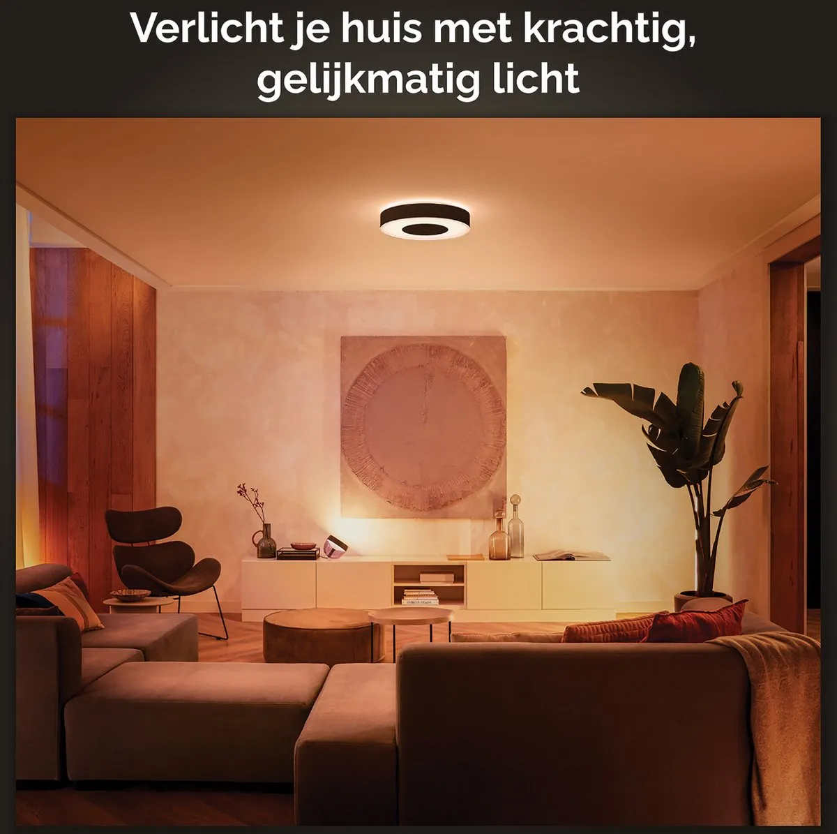 Philips Hue Infuse Plafondlamp 42cm - Zwart - afbeelding 6 van 6