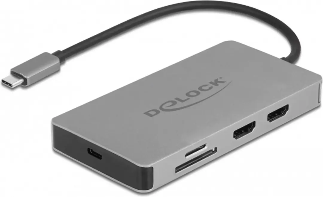 Delock USB Type-C Docking Station 87004 - Grijs