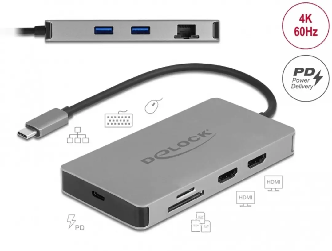 Delock USB Type-C Docking Station 87004