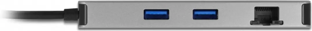 Delock USB Type-C Docking Station 87004 - Grijs
