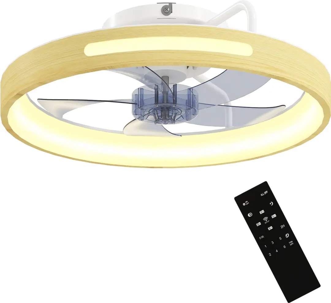 ECTEATOY Plafondventilator 40W LED
