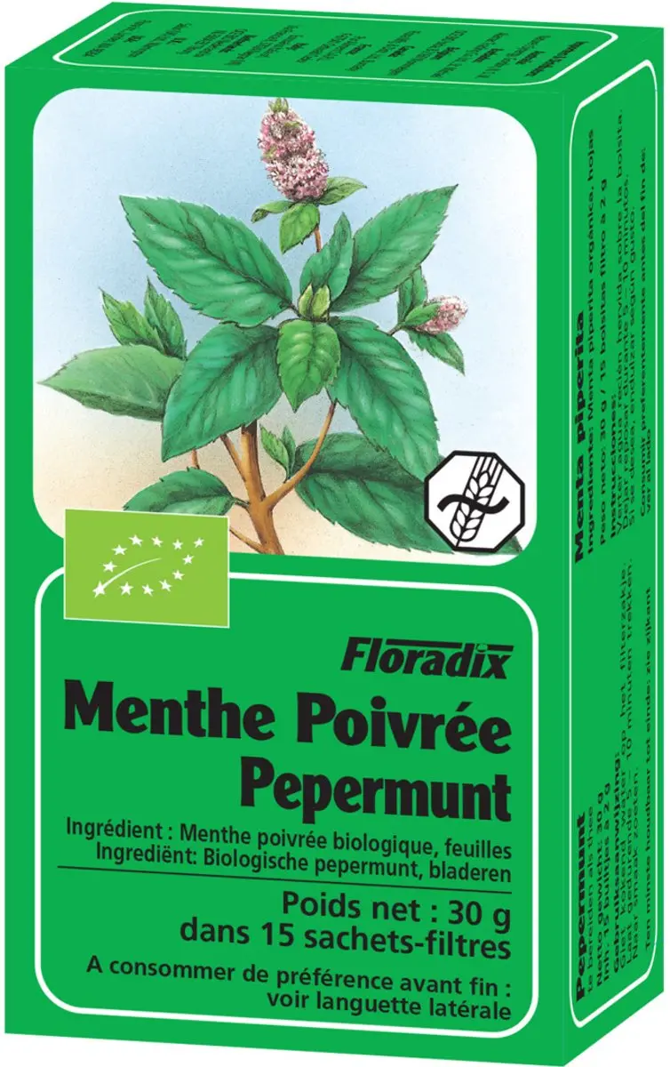 Salus Pepermunt Thee 15 Zakjes