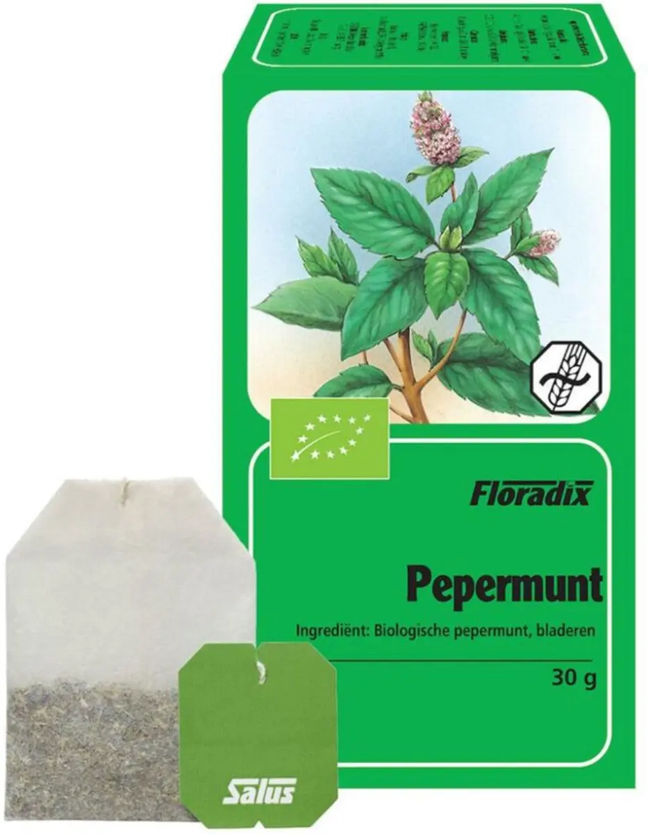 Salus Pepermunt Thee 15 Zakjes