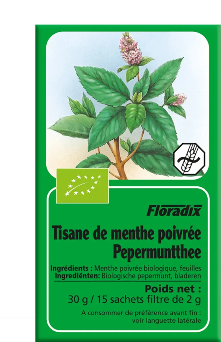 Salus Pepermunt Thee 15 Zakjes