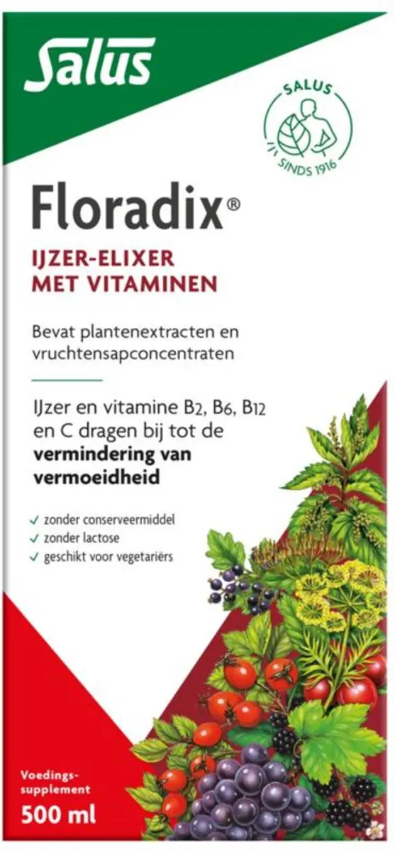 Salus Floradix IJzer-elixir 500ml