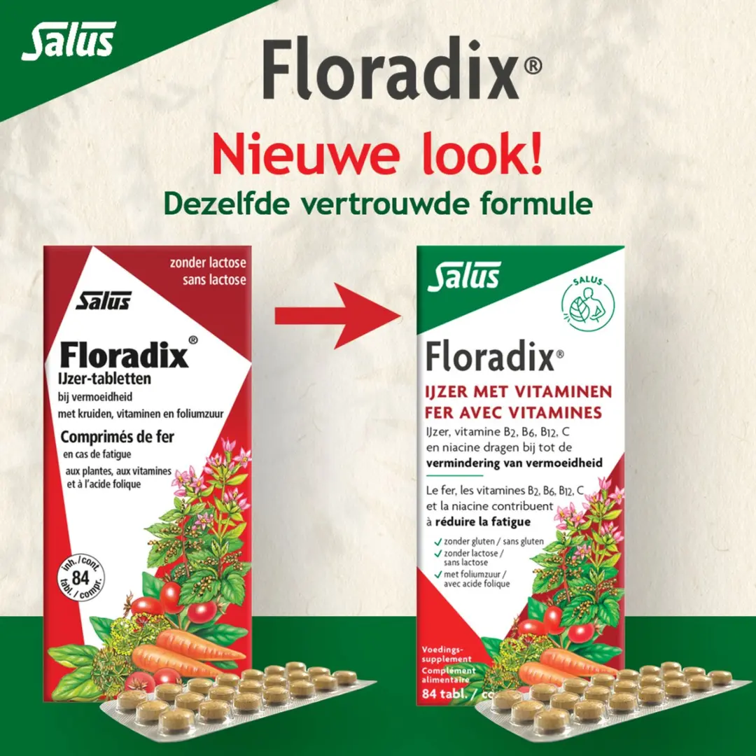 Salus Floradix IJzer-tabletten 84 Stuks