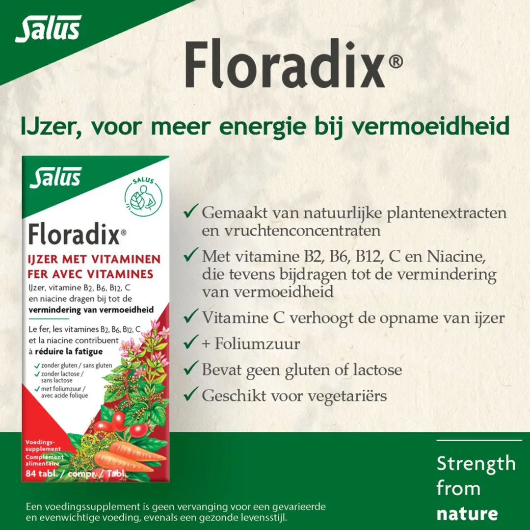 Salus Floradix IJzer-tabletten 84 Stuks