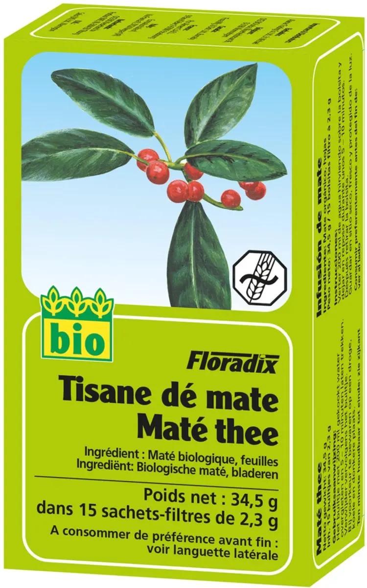 Salus Floradix Biologische Thee Mate - 15 Zakjes