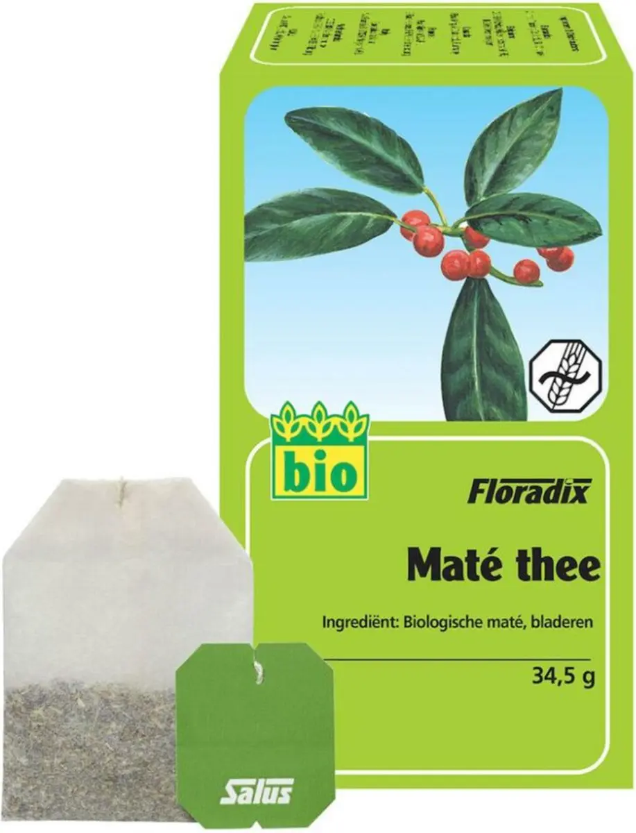 Salus Floradix Biologische Thee Mate - 15 Zakjes