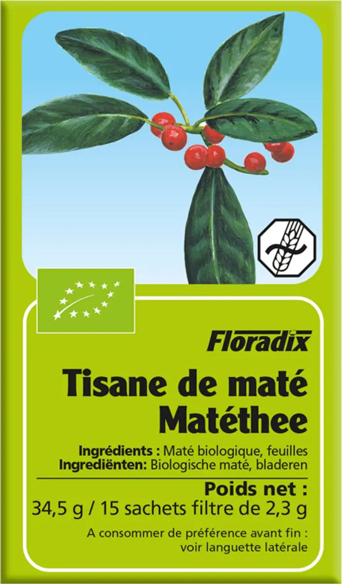 Salus Floradix Biologische Thee Mate