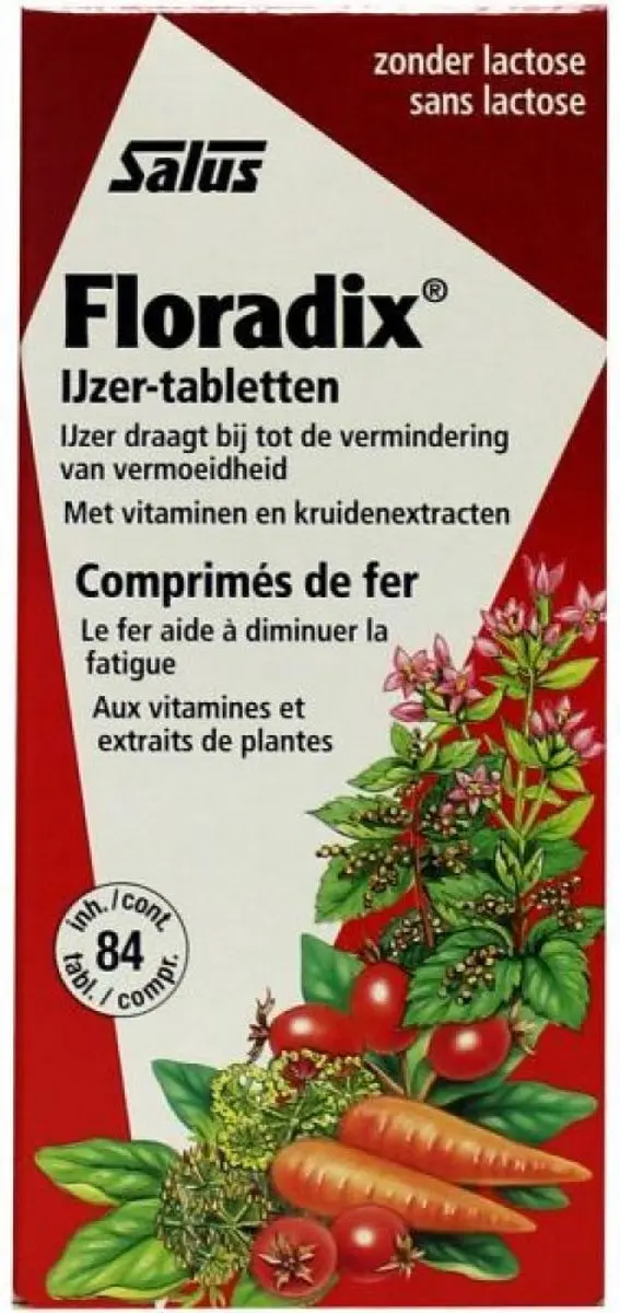 Floradix IJzer 252g