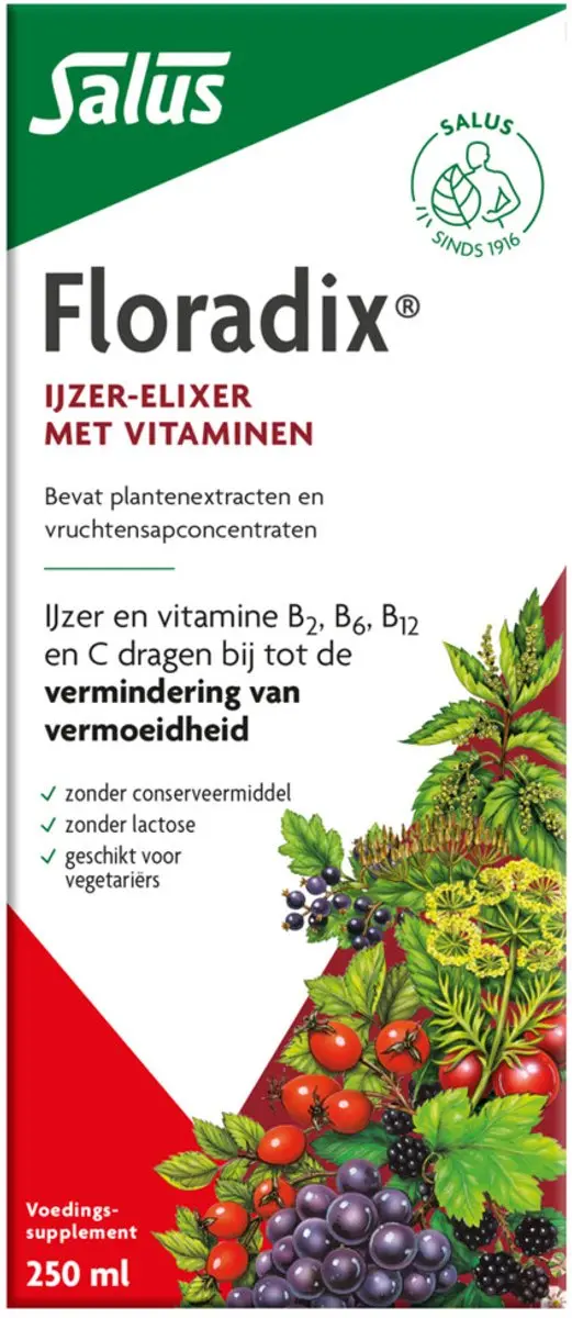 Salus Floradix IJzer-elixir 250ml