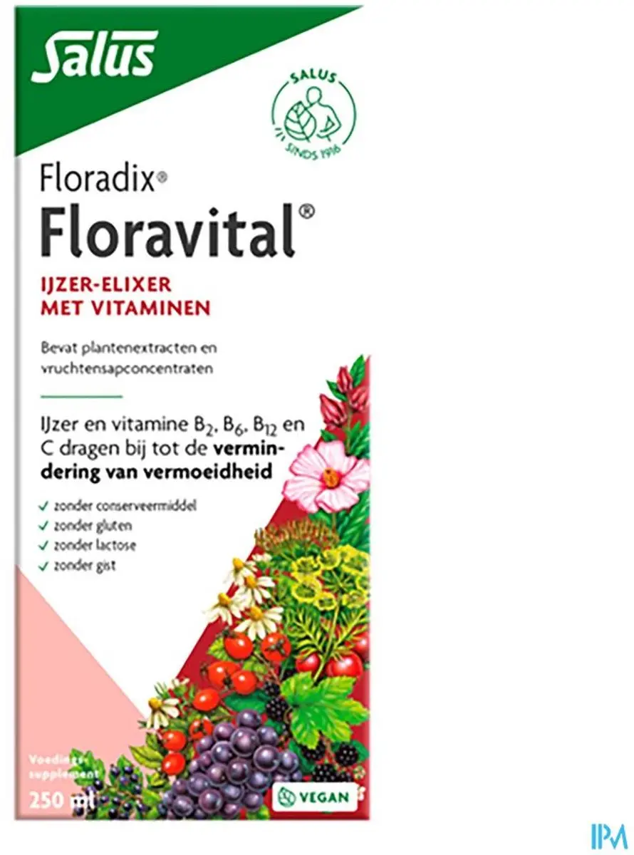 Salus Floradix Floravital Vloeibaar IJzer-Elixir 250ml