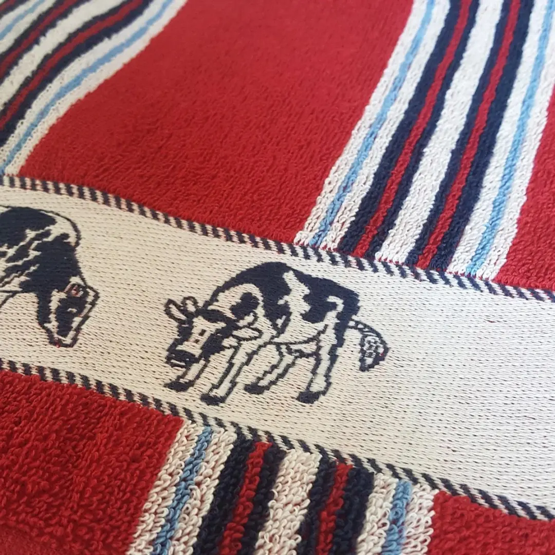 DDDDD Friesian Keukendoek 50x55cm - Set van 6 - Rood