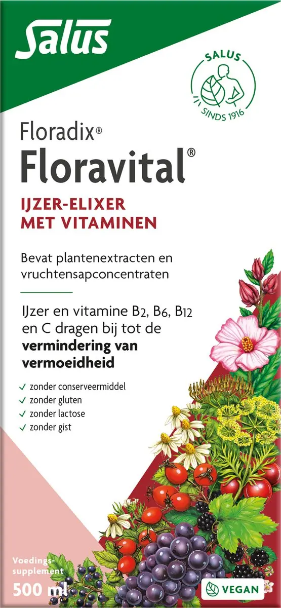 Salus Floradix Floravital Vloeibaar IJzer-Elixir 500ml