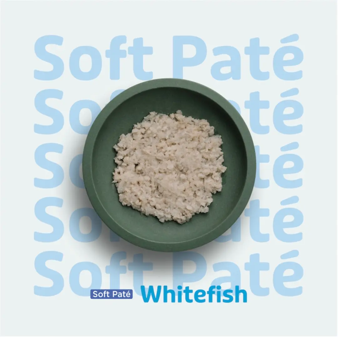 Prins Soft Paté Witvis 70g