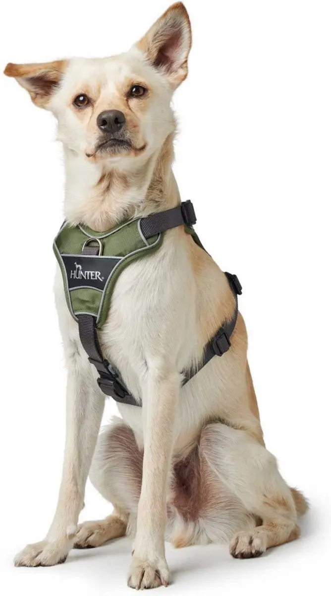 Hunter Harnas Divo Groen&Grijs - M 56-73cm