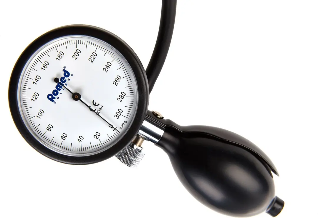 Romed Aneroïde Bloeddrukmeter Palm Type - Zwart