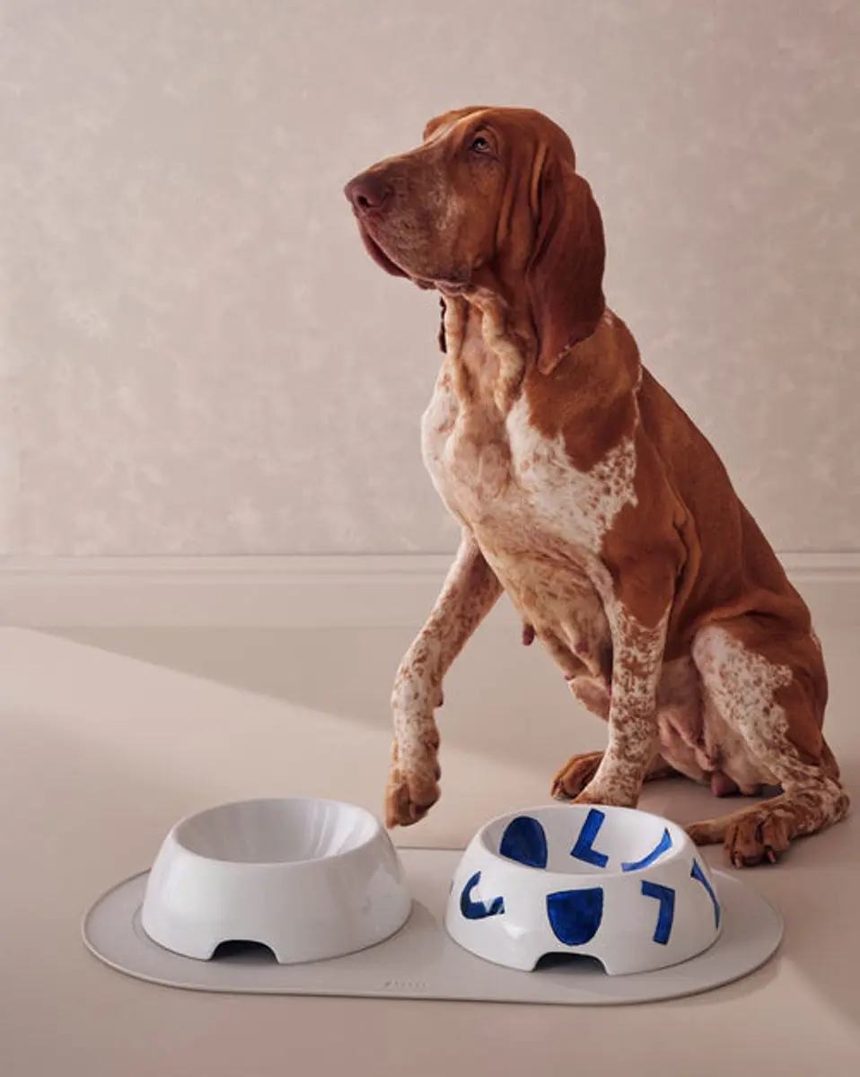 Alessi Voerbak Hond - Porselein 25cm - 1200ml - Wit