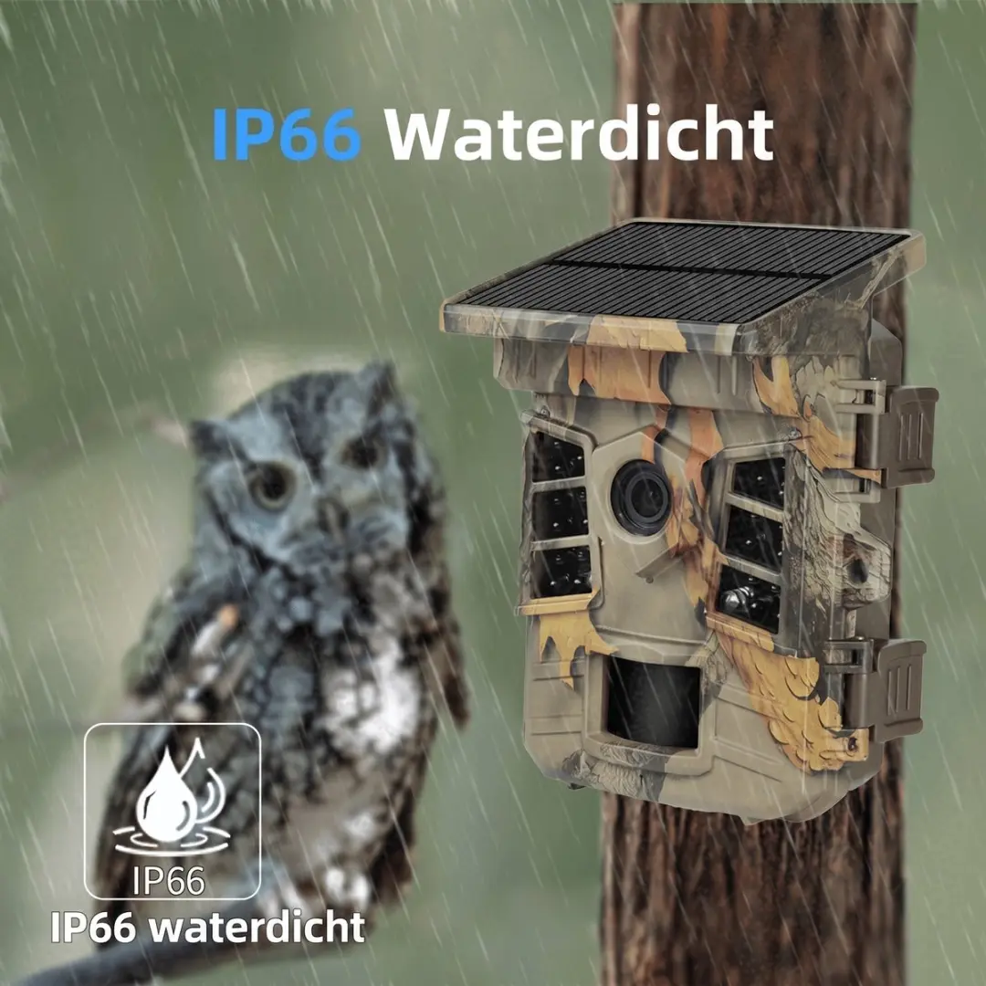ECTEATOY Wildcamera 32MP 4K No Glow WiFi Groen - 64GB SD