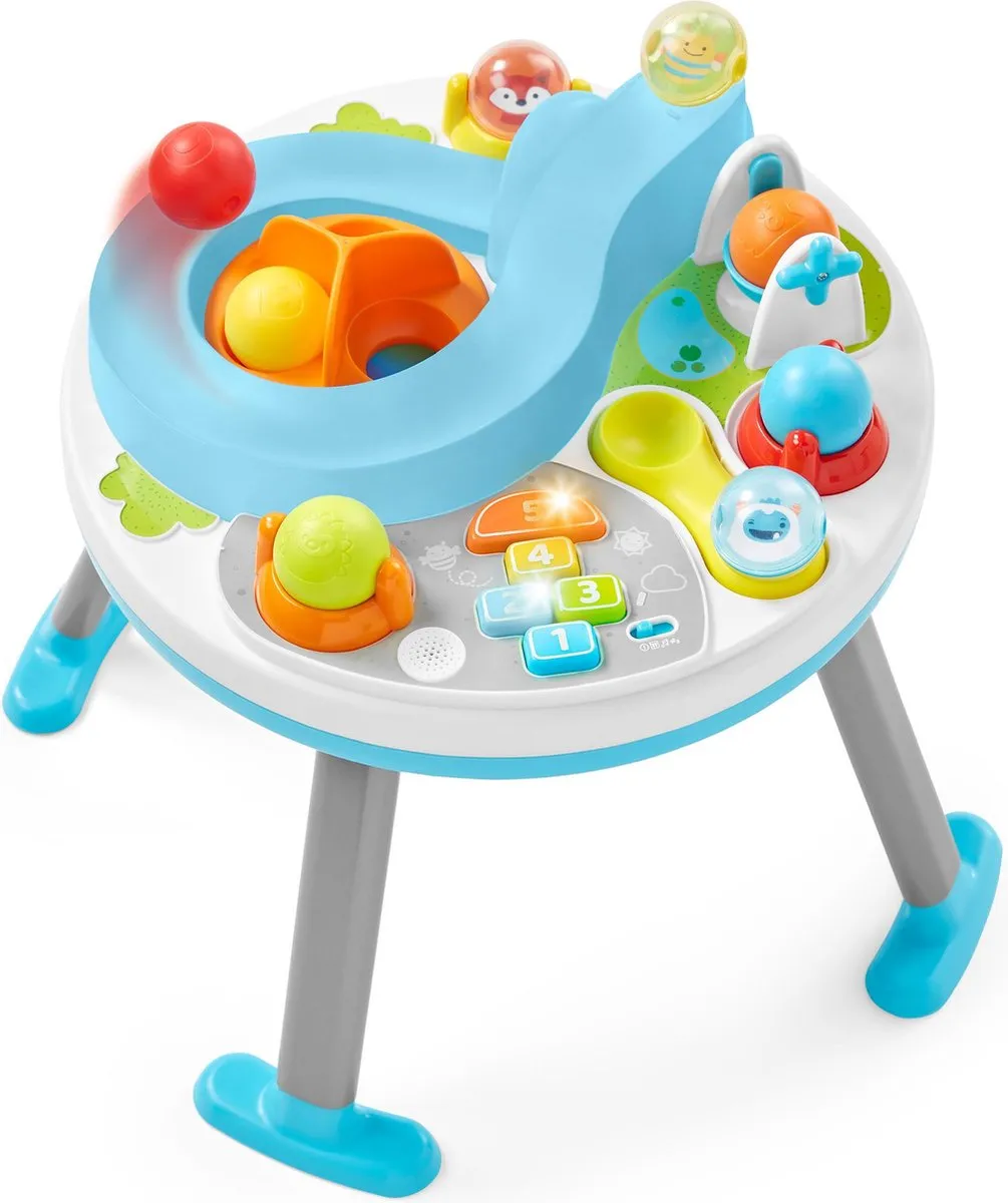 Skip Hop Explore & More Activity Table