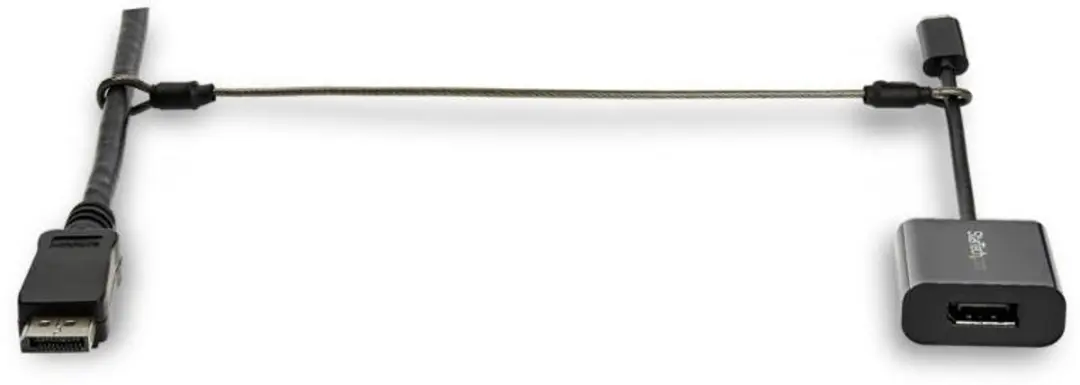 Startech Anti-diefstal Kabel met Lus