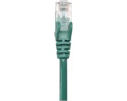 Intellinet 737043 Cat6A Netwerkkabel 0,25m - Groen