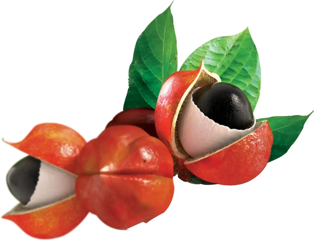 Arkopharma Guarana Bio Capsules 130 Stuks - Vetverbranding