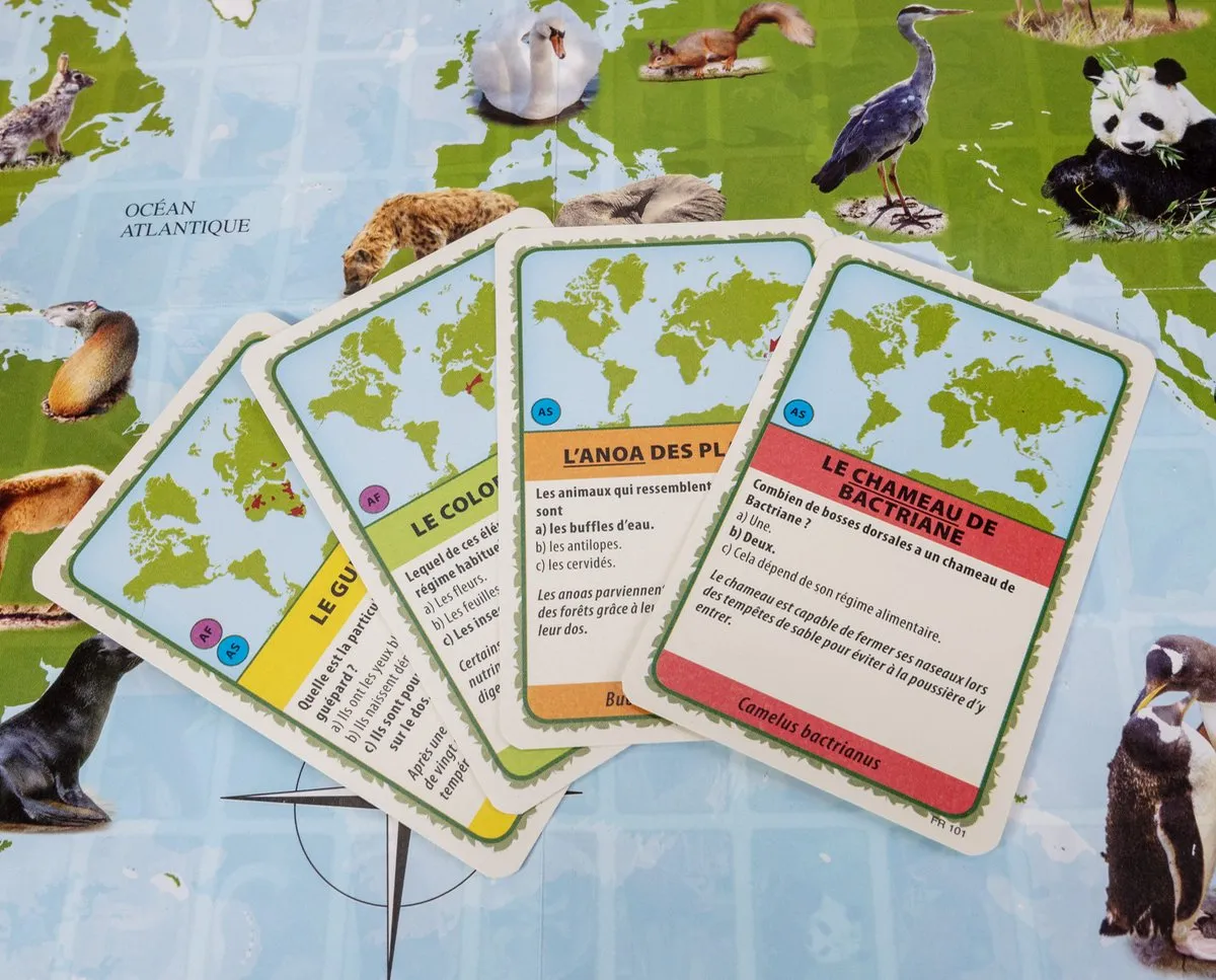 Tactic Animaux du Monde - 6 Spelers